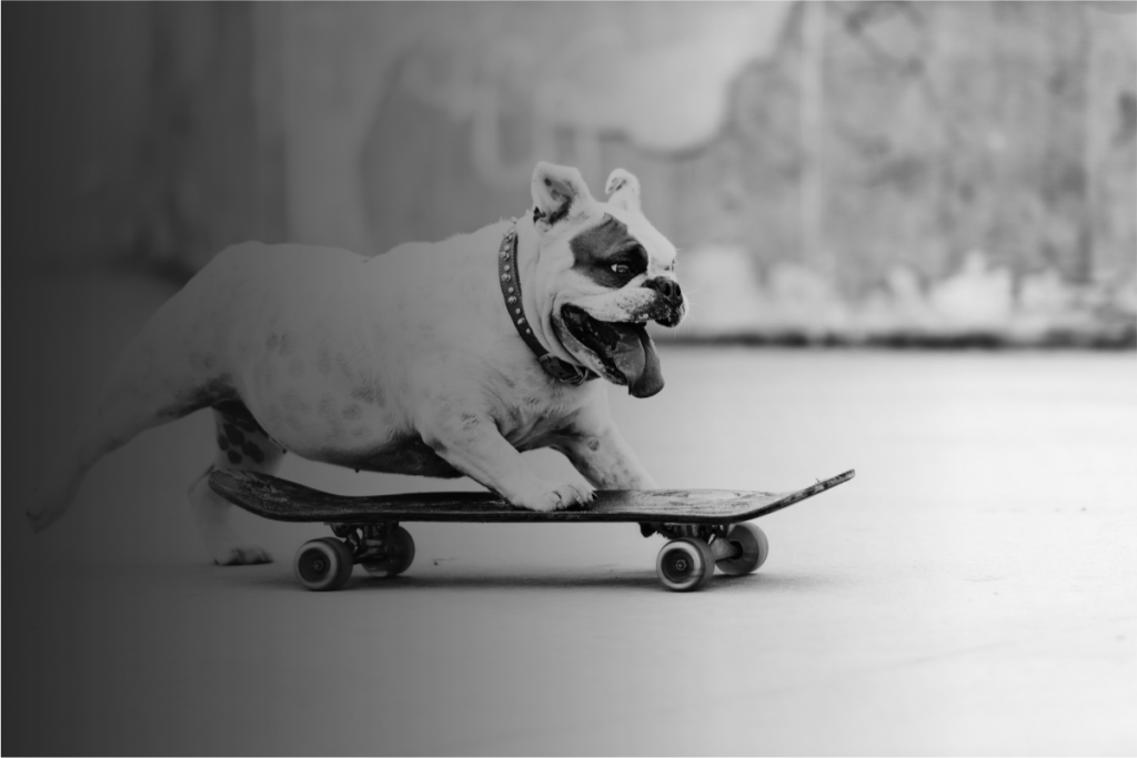 Great Ideas Delivered With Personality